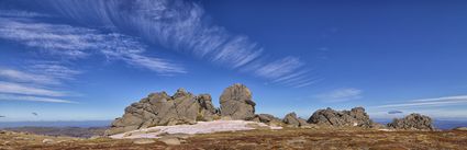 Rams Head Range - Kosciuszko NP - NSW (PBH4 00 10767)